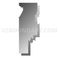 State Senate District 29, Nebraska (Gray Gradient Fill with Shadow)