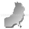 Washoe County Senatorial District 4, Nevada (Gray Gradient Fill with Shadow)