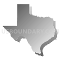 Texas (Gray Gradient Fill with Shadow)