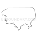 Census Tract 209, Walker County, Alabama (Light Gray Border)