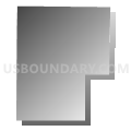 Census Tract 29.04, Pima County, Arizona (Gray Gradient Fill with Shadow)