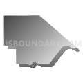 Census Tract 44.31, Pima County, Arizona (Gray Gradient Fill with Shadow)