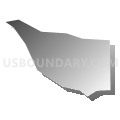Census Tract 40.30, Pima County, Arizona (Gray Gradient Fill with Shadow)