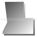 Census Tract 39.01, Pima County, Arizona (Gray Gradient Fill with Shadow)