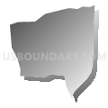 Census Tract 3.01, Gila County, Arizona (Gray Gradient Fill with Shadow)