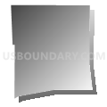 Census Tract 1125.11, Maricopa County, Arizona (Gray Gradient Fill with Shadow)