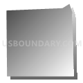 Census Tract 1063, Maricopa County, Arizona (Gray Gradient Fill with Shadow)