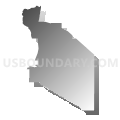 Census Tract 7233.06, Maricopa County, Arizona (Gray Gradient Fill with Shadow)
