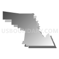 Census Tract 101.02, Maricopa County, Arizona (Gray Gradient Fill with Shadow)