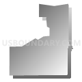 Census Tract 2174, Maricopa County, Arizona (Gray Gradient Fill with Shadow)