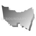 Census Tract 110.02, Washington County, Arkansas (Gray Gradient Fill with Shadow)
