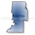 Census Tract 9601, Randolph County, Arkansas (Radial Fill with Shadow)