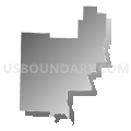 Census Tract 4802, Arkansas County, Arkansas (Gray Gradient Fill with Shadow)