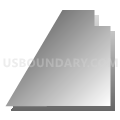 Census Tract 99.11, San Bernardino County, California (Gray Gradient Fill with Shadow)