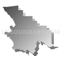 Census Tract 114.04, San Bernardino County, California (Gray Gradient Fill with Shadow)