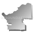 Census Tract 112.03, San Bernardino County, California (Gray Gradient Fill with Shadow)