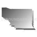 Census Tract 121.03, San Bernardino County, California (Gray Gradient Fill with Shadow)