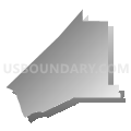 Census Tract 121.01, San Bernardino County, California (Gray Gradient Fill with Shadow)