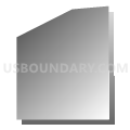 Census Tract 2.05, San Bernardino County, California (Gray Gradient Fill with Shadow)