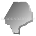 Census Tract 100.17, San Bernardino County, California (Gray Gradient Fill with Shadow)