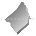 Census Tract 303.01, El Dorado County, California (Gray Gradient Fill with Shadow)