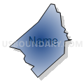Census Tract 303.01, El Dorado County, California (Radial Fill with Shadow)