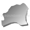 Census Tract 318, El Dorado County, California (Gray Gradient Fill with Shadow)