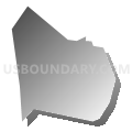 Census Tract 1011, Santa Cruz County, California (Gray Gradient Fill with Shadow)