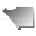 Census Tract 2970, Los Angeles County, California (Gray Gradient Fill with Shadow)