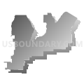Census Tract 9696, Montezuma County, Colorado (Gray Gradient Fill with Shadow)