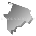 Census Tract 29.13, Pueblo County, Colorado (Gray Gradient Fill with Shadow)
