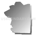 Census Tract 28.02, Pueblo County, Colorado (Gray Gradient Fill with Shadow)