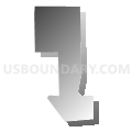 Census Tract 3, Pueblo County, Colorado (Gray Gradient Fill with Shadow)