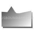 Census Tract 10.01, Mesa County, Colorado (Gray Gradient Fill with Shadow)