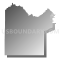 Census Tract 19, Mesa County, Colorado (Gray Gradient Fill with Shadow)