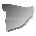 Census Tract 17.03, Mesa County, Colorado (Gray Gradient Fill with Shadow)