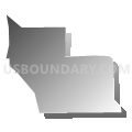 Census Tract 140.06, Douglas County, Colorado (Gray Gradient Fill with Shadow)
