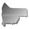 Census Tract 141.40, Douglas County, Colorado (Gray Gradient Fill with Shadow)