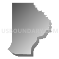 Census Tract 141.39, Douglas County, Colorado (Gray Gradient Fill with Shadow)