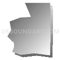 Census Tract 139.04, Douglas County, Colorado (Gray Gradient Fill with Shadow)