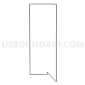 Census Tract 29.01, Denver County, Colorado (Light Gray Border)