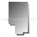 Census Tract 30.04, Denver County, Colorado (Gray Gradient Fill with Shadow)