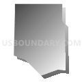 Census Tract 32.03, Denver County, Colorado (Gray Gradient Fill with Shadow)