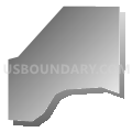 Census Tract 55.02, El Paso County, Colorado (Gray Gradient Fill with Shadow)