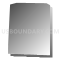Census Tract 8, El Paso County, Colorado (Gray Gradient Fill with Shadow)
