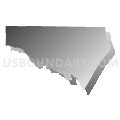Census Tract 202, Lee County, Georgia (Gray Gradient Fill with Shadow)