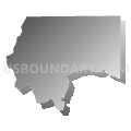 Census Tract 102, Coffee County, Georgia (Gray Gradient Fill with Shadow)