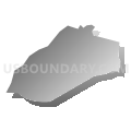 Census Tract 507.13, Gwinnett County, Georgia (Gray Gradient Fill with Shadow)