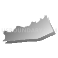 Census Tract 114.01, Lowndes County, Georgia (Gray Gradient Fill with Shadow)