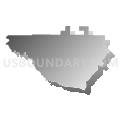 Census Tract 503, Pickens County, Georgia (Gray Gradient Fill with Shadow)